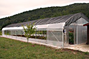 Profesionalna uporaba rastlinjaka