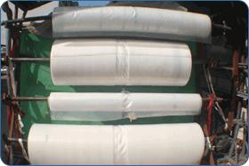 Folija za rastlinjake