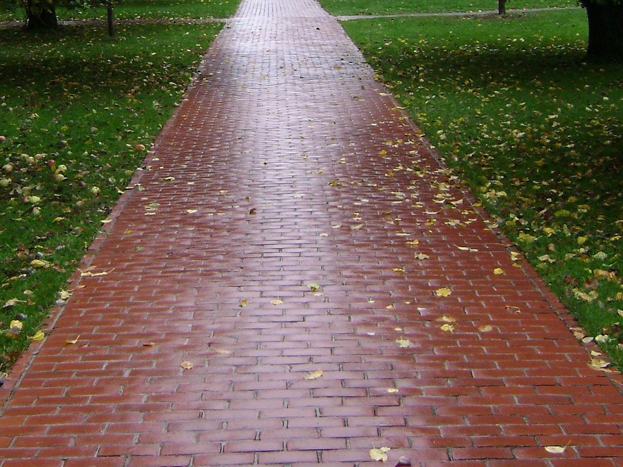 Tlakovanje vrtnih poti Tlakovanje vrtnih poti