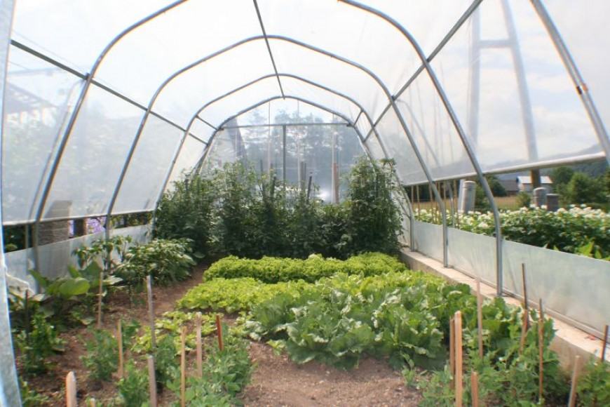 Rastlinjaki in oprema