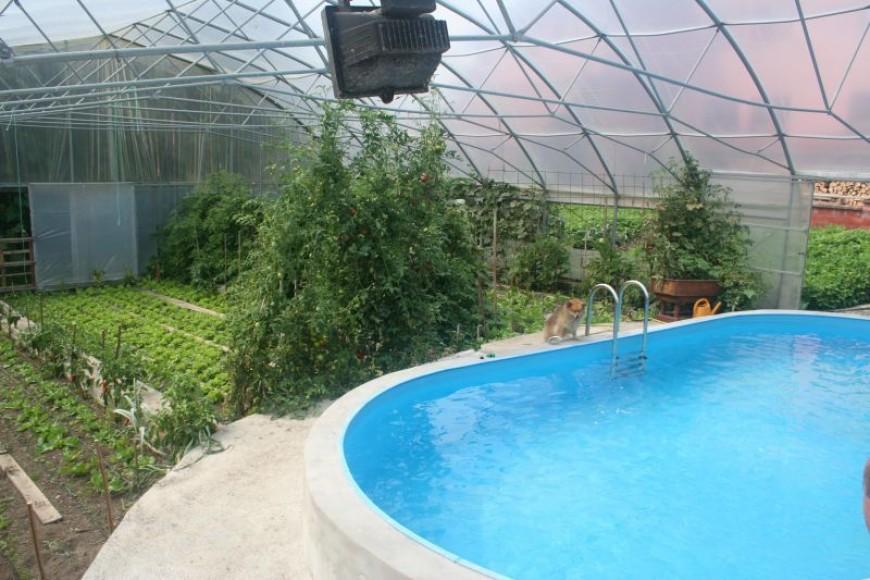 Rastlinjaki in oprema