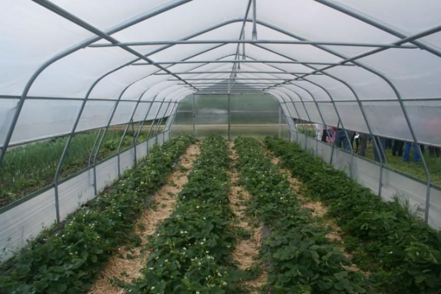 Rastlinjaki in oprema