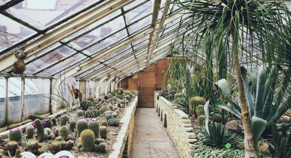 Rastlinjaki in oprema