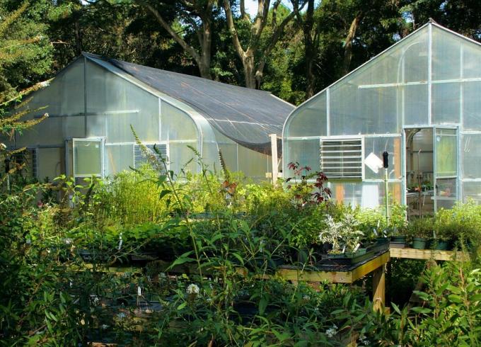 Rastlinjaki iz polikarbonata