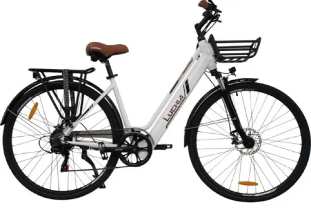 Električno kolo: katero električno kolo kupiti?