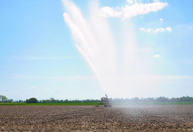 Razpršilci za namakanje zelenih površin